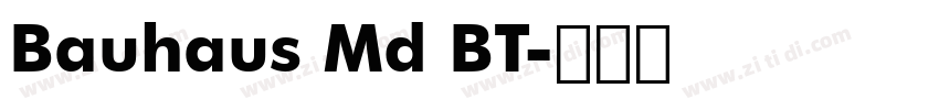 Bauhaus Md BT字体转换